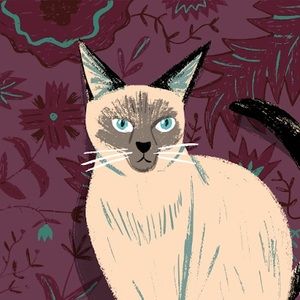 Meet your Posher, Kayley